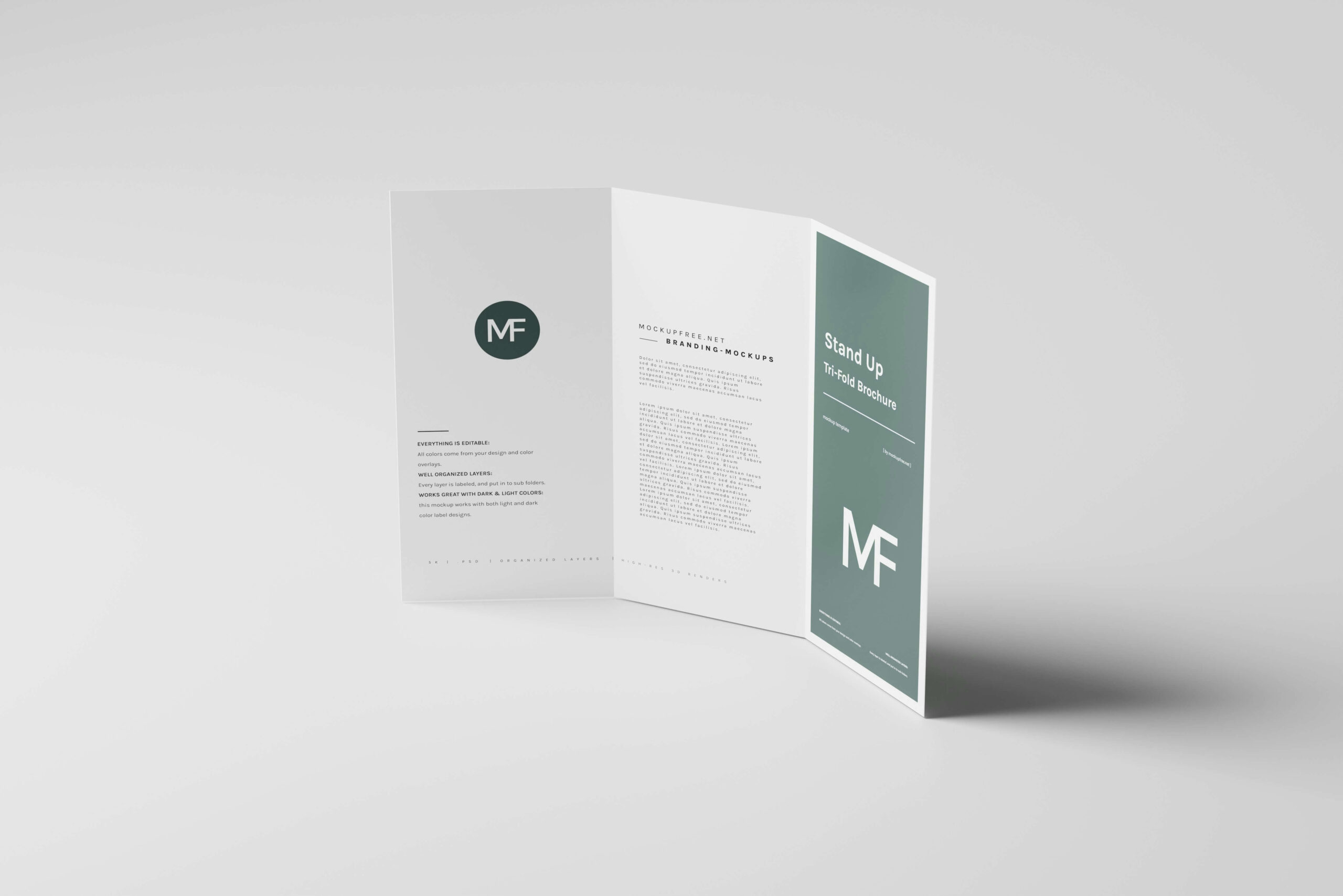Rounded Corners Business Cards